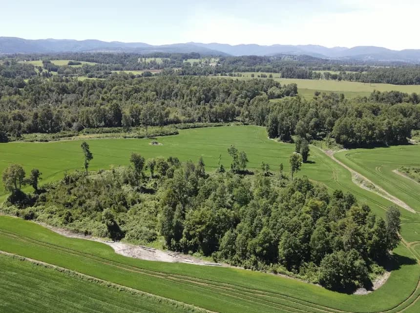 Panorámica del valle y bosque circundante